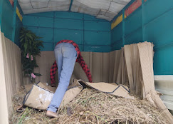 Packers and movers at work